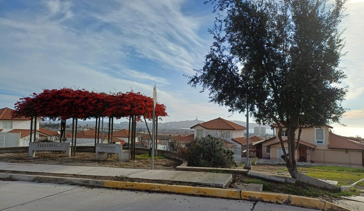 Espacio verde
